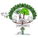 EasyForest (KALPAVRIKSHA) logo