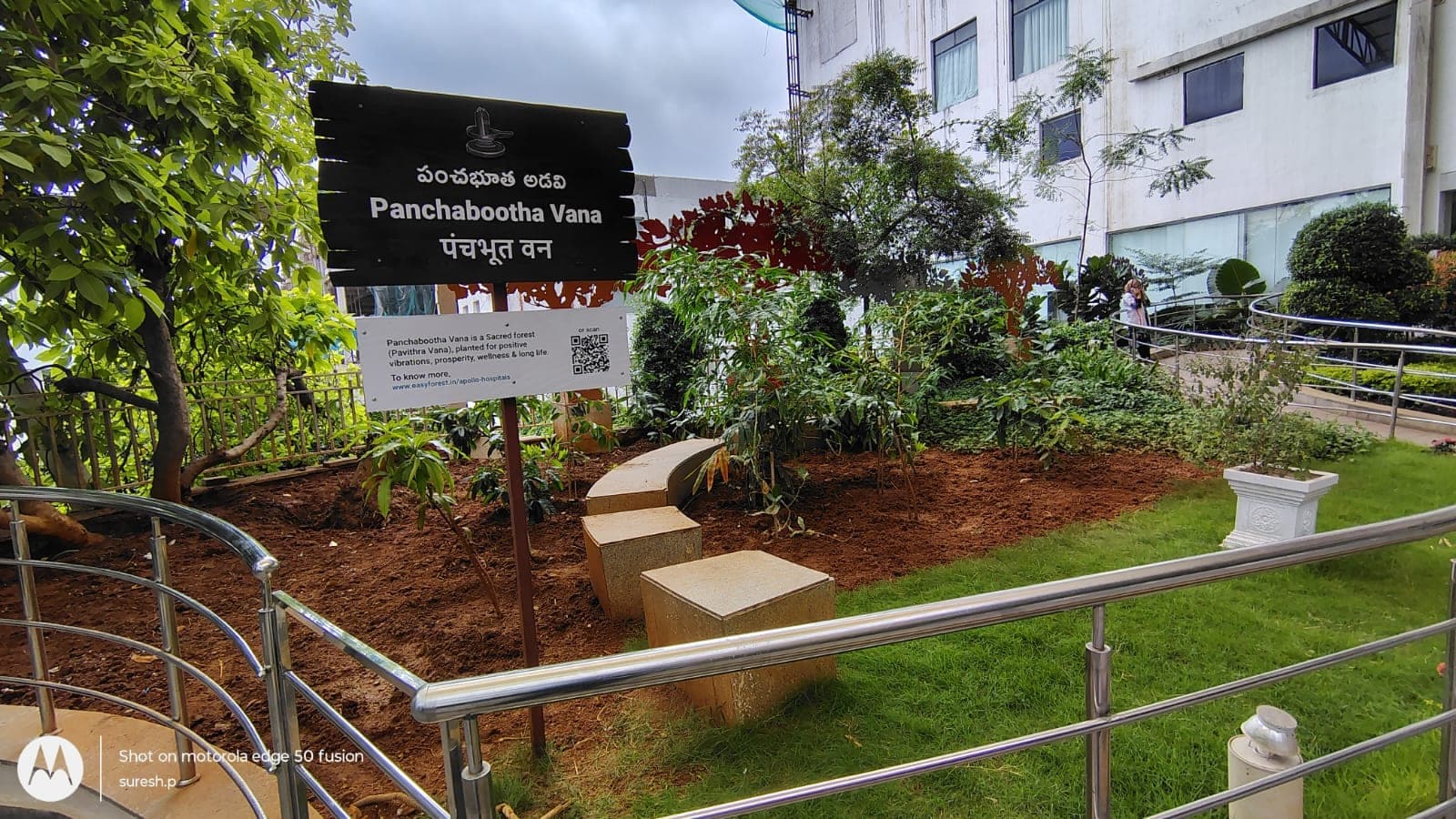 Panchabootha Vana signboard at Apollo Hospitals