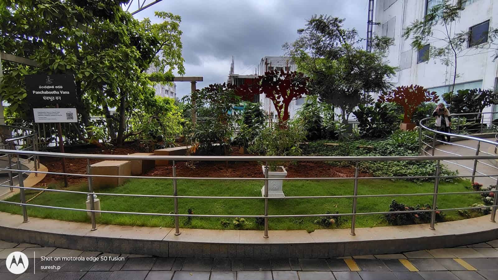 Panchabootha Vana two months after planting