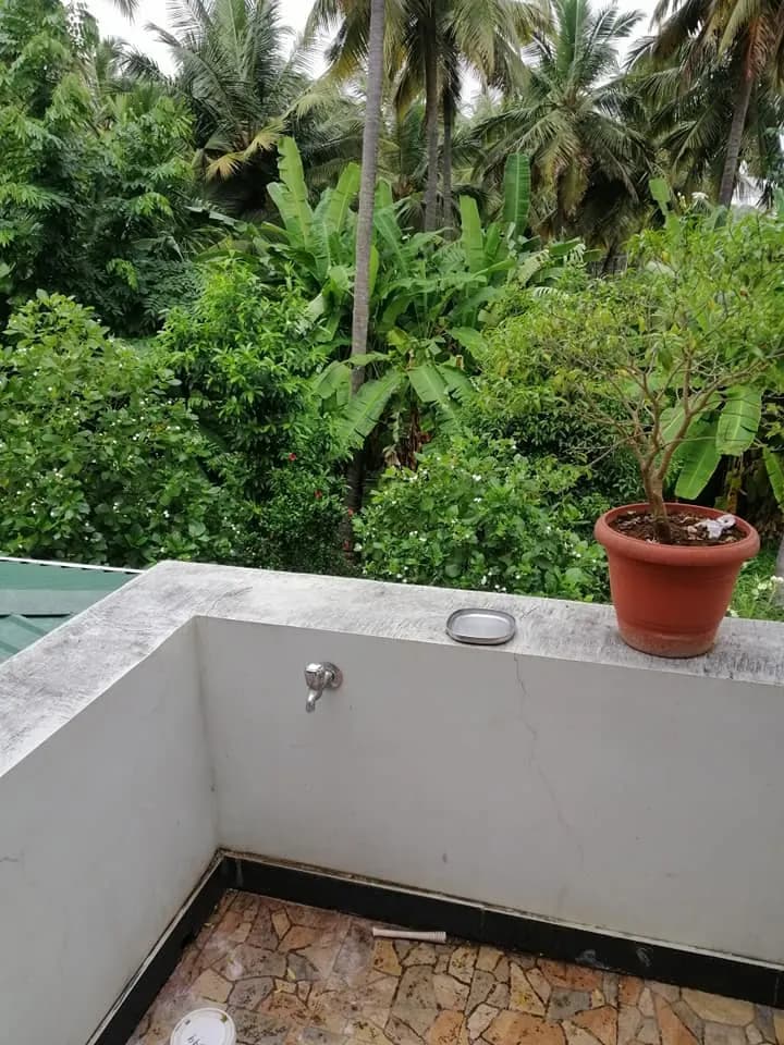 swamy sir farm after