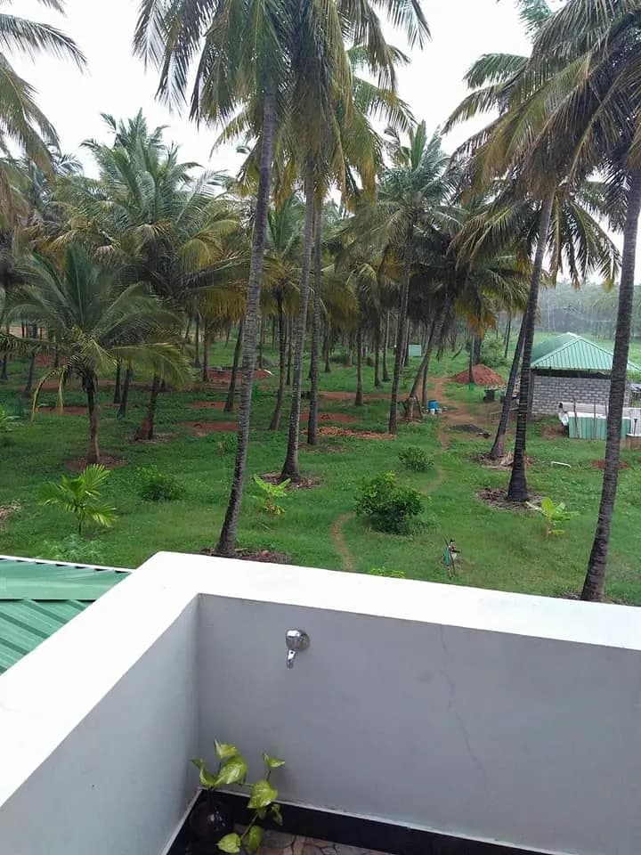 swamy sir farm before