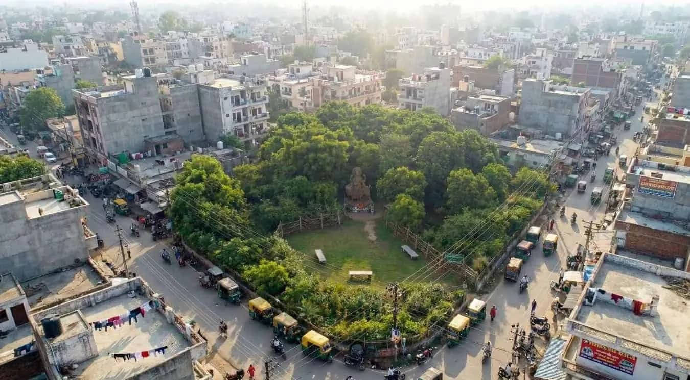 Sacred Forest (Pavithra Vana) in the middle of a urban city of Uttar Pradesh