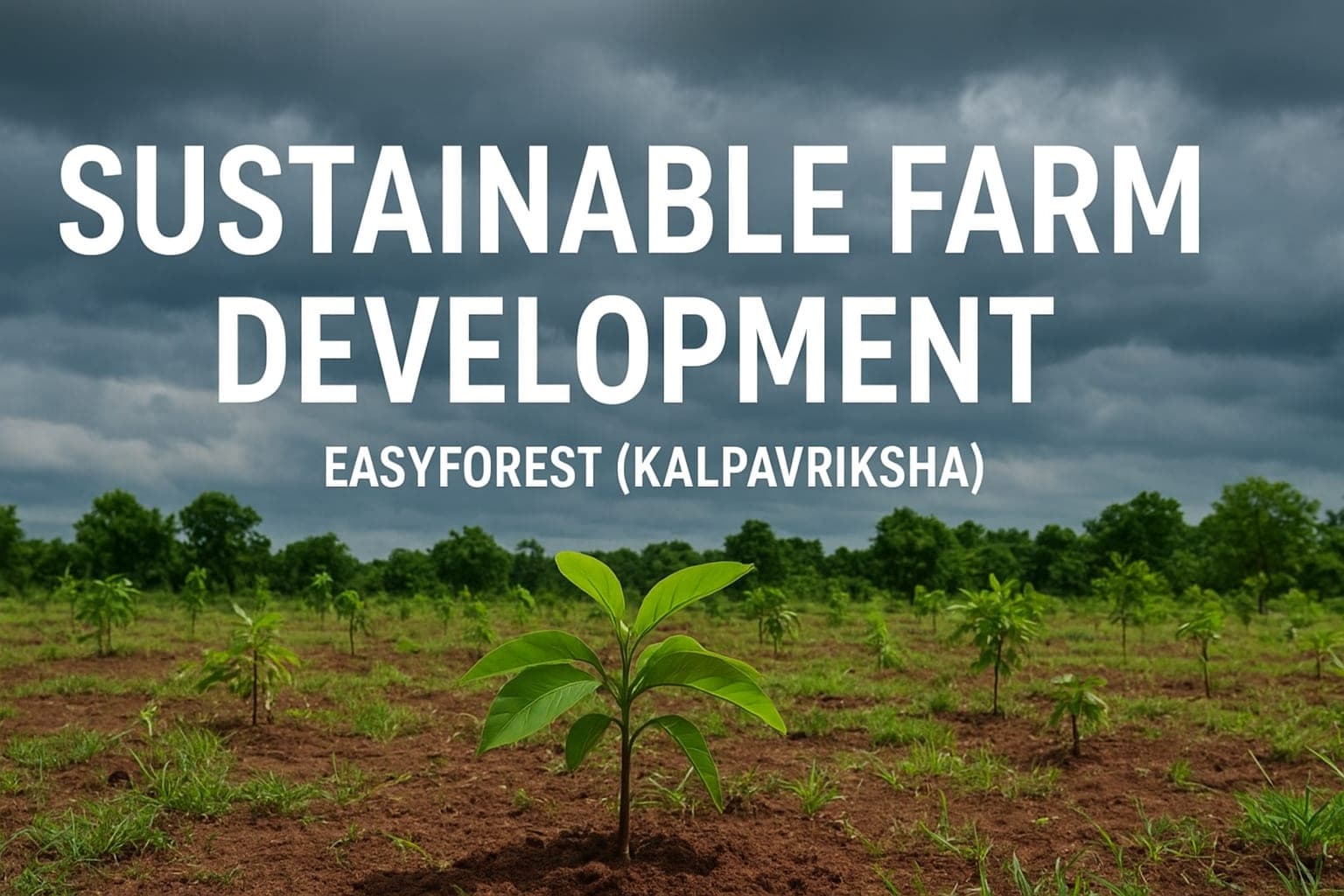 Illustration of a sustainable farm