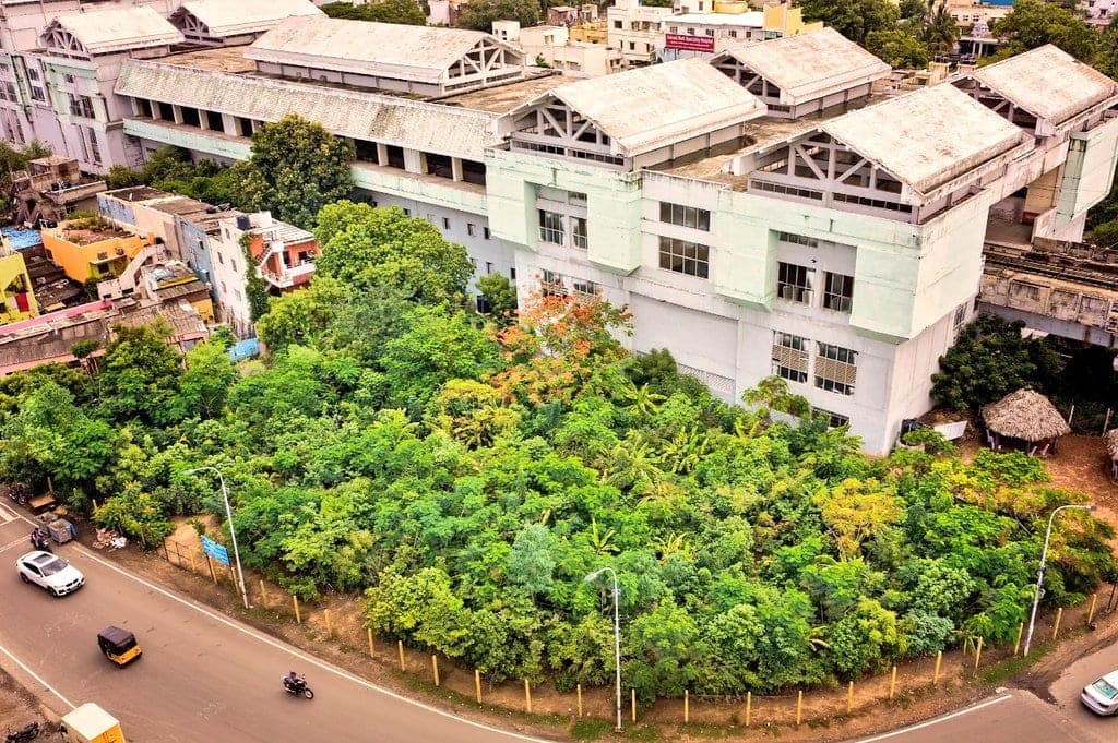 Aerial view of a dense forest in Chennai