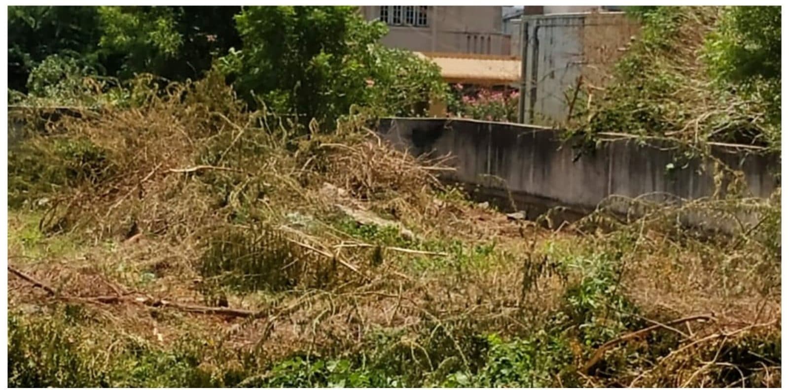Salem site on day one, covered in dumped solid waste and dry scrub