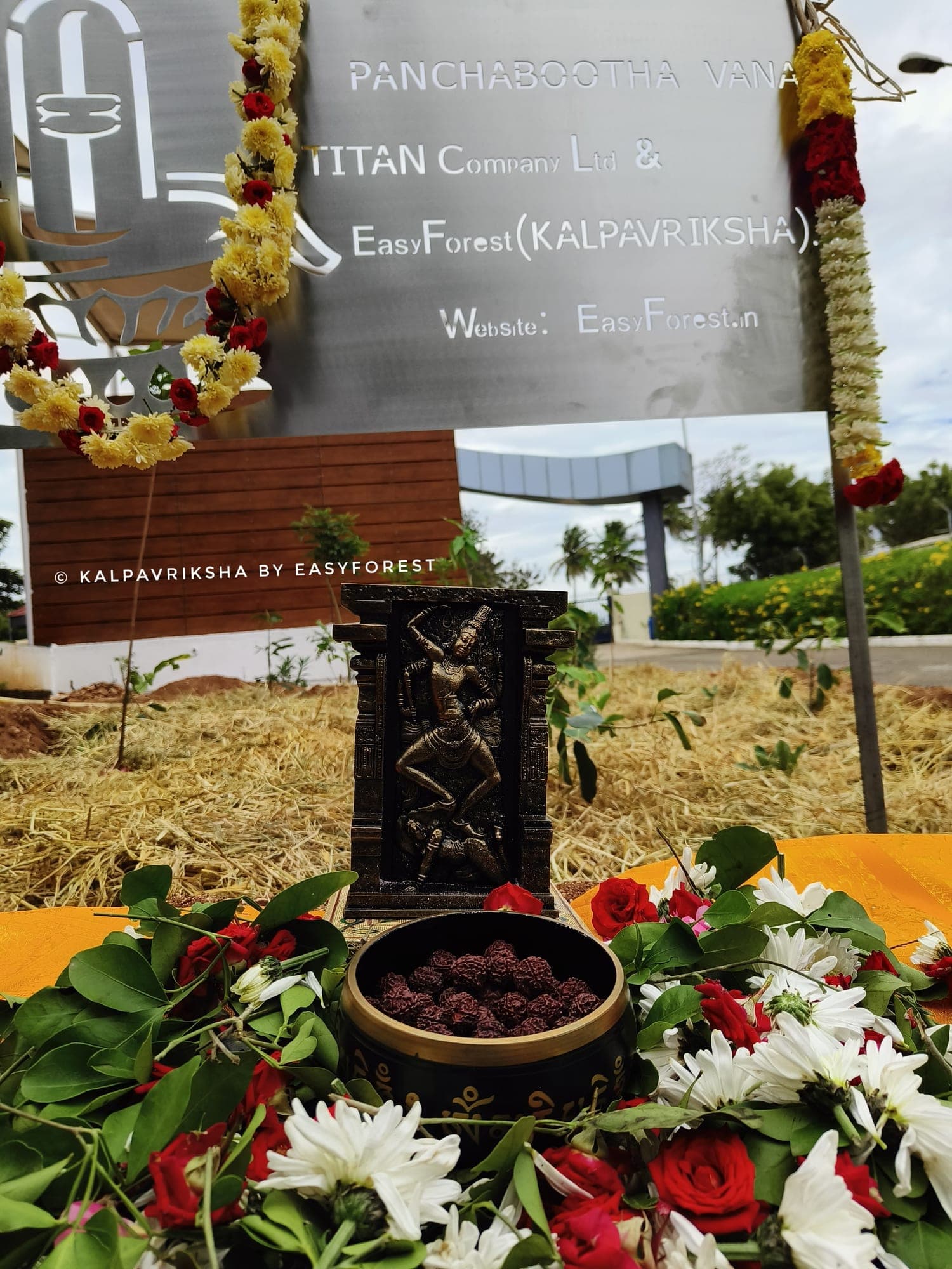 Offerings at a sacred forest
