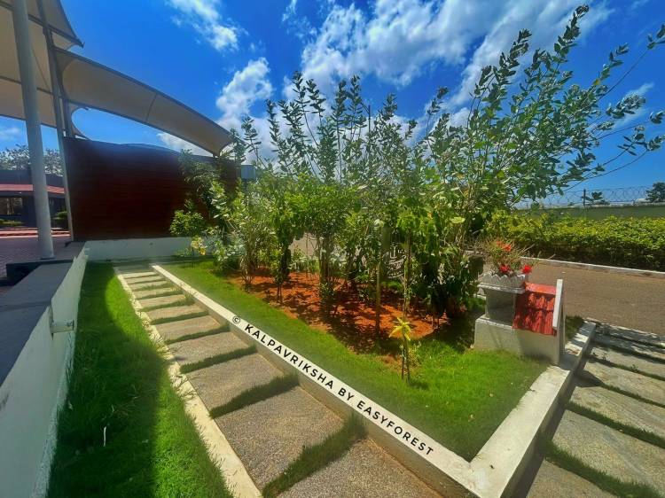 Panchabootha Vana at TITAN Industries
