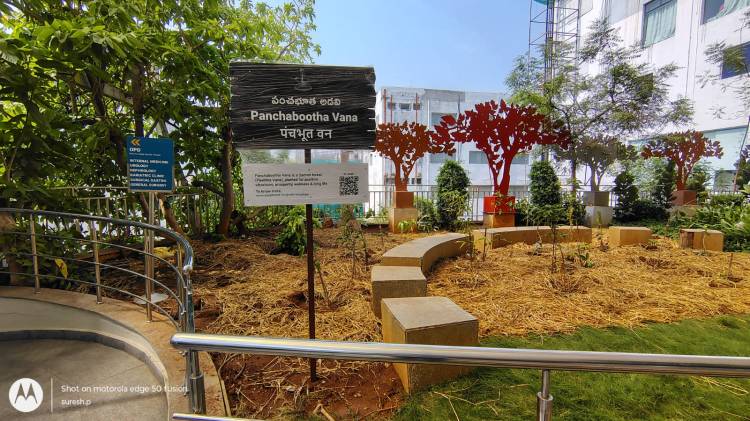 Apollo Hospitals Panchabootha Vana