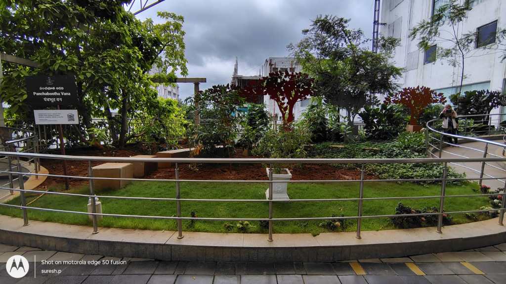 Apollo Hospitals Sacred Forest (Pavithra Vana) in Jubilee Hills, Hyderabad.