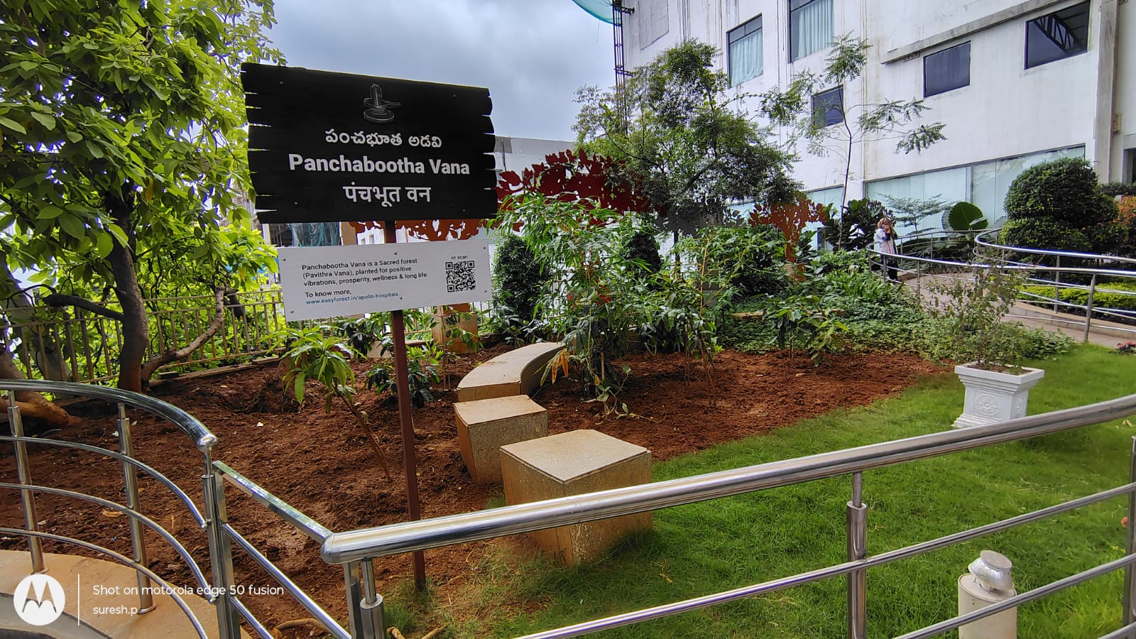 Panchabootha Vana At Apollo Hospitals, Jubilee Hills, Hyderabad.