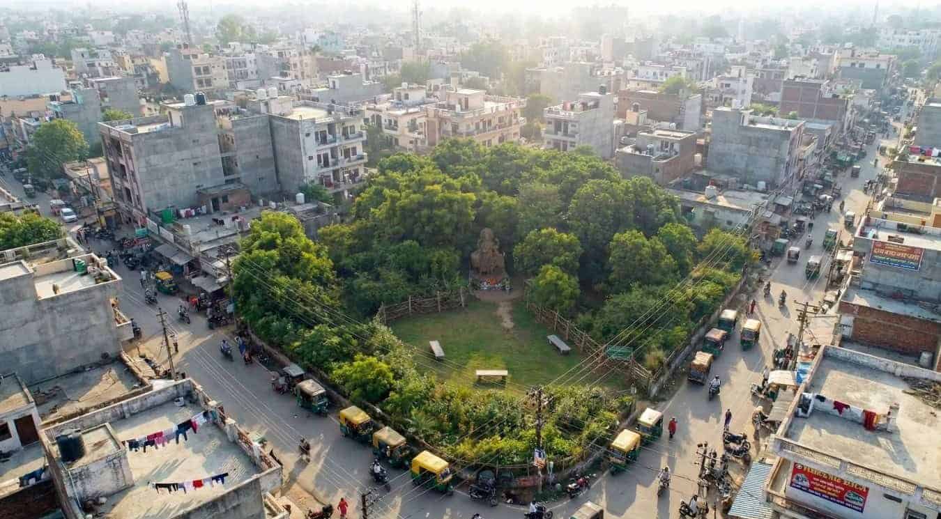 Sacred Forest (Pavithra Vana) in the middle of a urban city of Uttar Pradesh
